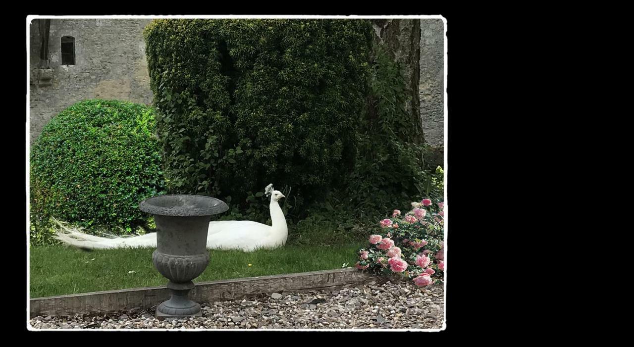 Manoir De Livet Bed and Breakfast Saint-Germain-de-Livet Εξωτερικό φωτογραφία